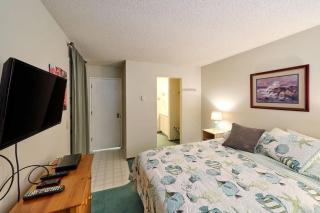 Coastal Escape - Pet Friendly with Amazing Views - 1
