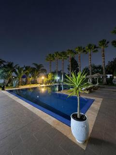 Riad Hamdani - 9