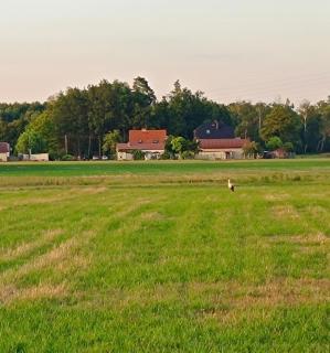Ferienhaus mit alten Scharm - 8
