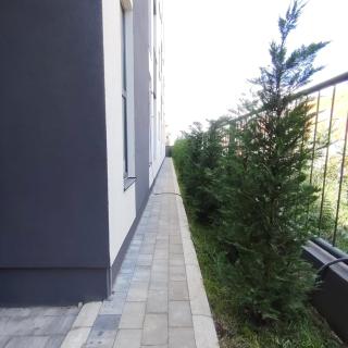 DID Residence - 3