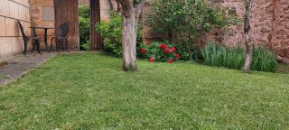 La Casa de la Huerta - 6