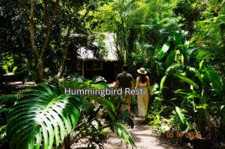 Jungle Like Oasis in San Ignacio - Secluded Cabaa Retreat Close To Mayan Ruins - 0