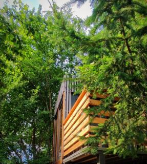 Forest Eco Glamping hiska - 3