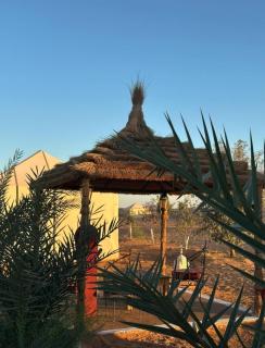 Merzouga - 5