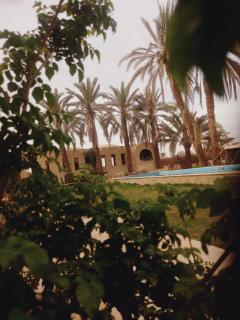 فندق إريغن Erighin siwa hotel - 3
