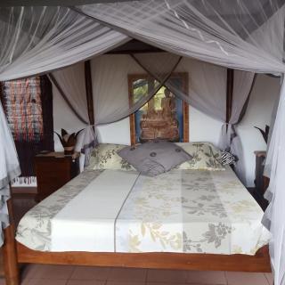 Bella Villas Ubud - 3