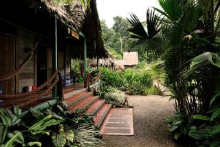 Hotel Pijibá Lodge - 1