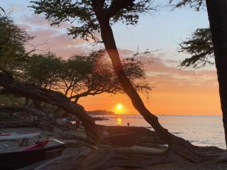 Makai Sunsets - 0