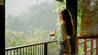 Tea Cottage Resort & Spa - 0