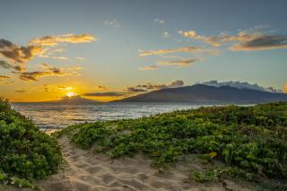 Waiohuli Beach Hale #D-124 Great Rates Oceanfront Complex, Steps to Beach - 3