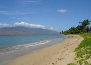 Waiohuli Beach Hale #B-205 Oceanfront View, Remodeled, Steps to Ocean, A/C - 5