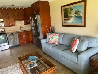 Waiohuli Beach Hale #B-206 Oceanfront View, Quiet Location, A/C Throughout - 4