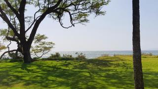 Waiohuli Beach Hale #D-127 Direct Oceanfront Complex in Kihei, Steps to Beach - 2