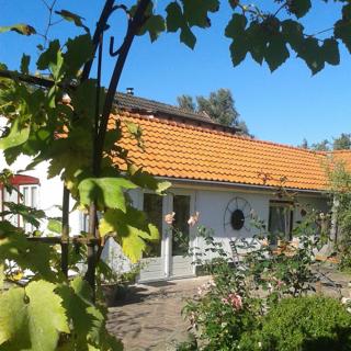 De Vrijheid-Melkstal - De Cocksdorp - 0