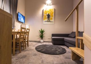 Inga Vacation House - Druskininkai - 8