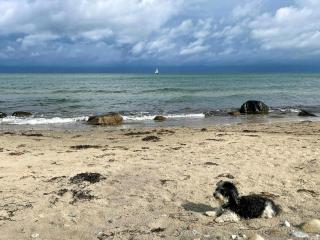 Bright Cottage Near The Beach And Gilleleje - 3