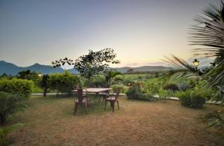 OPO Palm Villa Dritan - 4