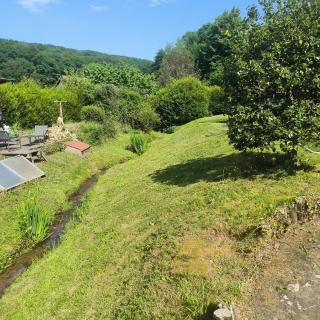 Gite La Parenthèse Nature en Alsace - 1