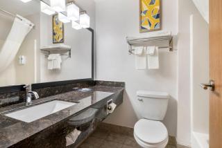 Comfort Inn & Suites - 7