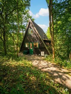 Boshuis Green Forest - 7