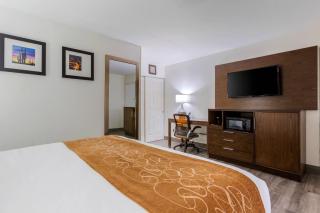 Comfort Suites Tucson near Sabino Canyon - 4