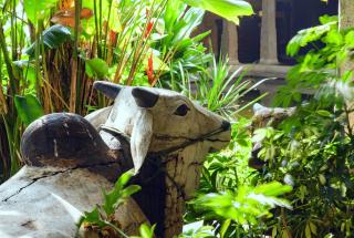 En Vilasam - A LuxUnlock Private Villa - 6