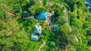 Tea Cottage Resort & Spa - Nawalapitiya - 8