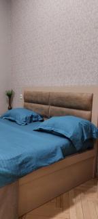 Agmashenebeli Apartments - 6