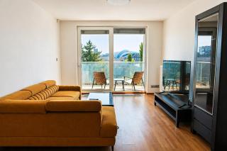 Large two-room apartment near city centre - 0