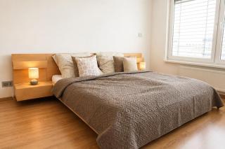 Large two-room apartment near city centre - 7