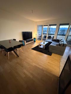 Spacious apartment in Geneva - 8
