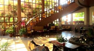 Tamaraw Beach Resort - 8