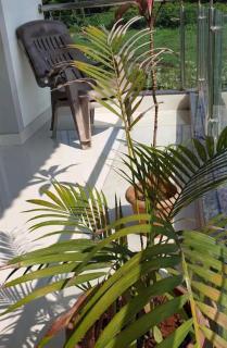 Aesthetic1BHK APT 5 min walk beach - 3
