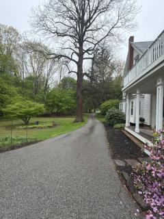 Maine - New England Charming Cottage 4 min from Portsmouth - 9