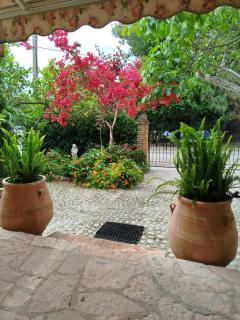 Athina's Mon Repo Apartment - 1