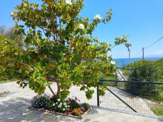 Villa Siesta gr - 5