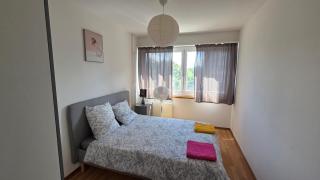 133 sqm 3 bedroom Apartment in Geneva - 6