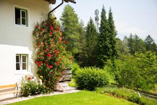 Forsthaus Stein - historic and luxurious - 0