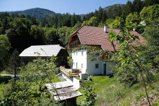 Forsthaus Stein - historic and luxurious - 5