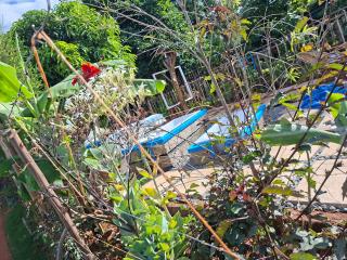 Elmadel Coffee Gardens- Family Villas, Couples Chalets, Holiday Getaway & Garden Coffee Shop, Rustic Gardens- 50kms from Nairobi - 8