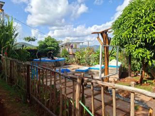 Elmadel Coffee Gardens- Family Villas, Couples Chalets, Holiday Getaway & Garden Coffee Shop, Rustic Gardens- 50kms from Nairobi - 7