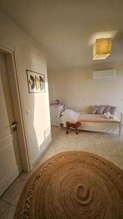 Ammos Boutique Rooms-Seafront Stay in Elafonisos - 8