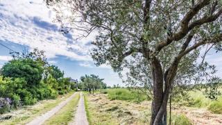 Apartman Petar by Villas Guide - 1