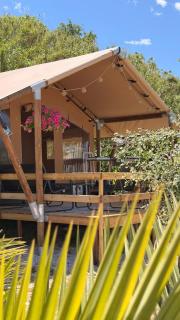Glamping La Yurta nel Verde luxe ingerichte 6persoons Glamping tent - 1
