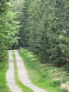 Chez Firmin - 3