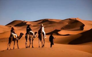Royal Desert Retreat - 5
