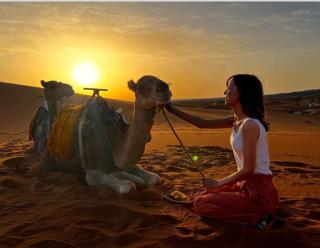 Royal Desert Retreat - 8