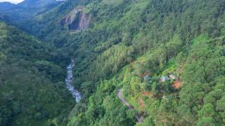 Tea Cottage Resort & Spa - Nawalapitiya - 8