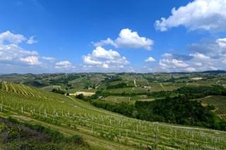 Locanda Del Pilone - 8