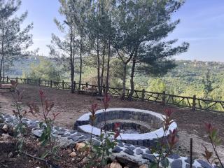 Horizon Pines - 5